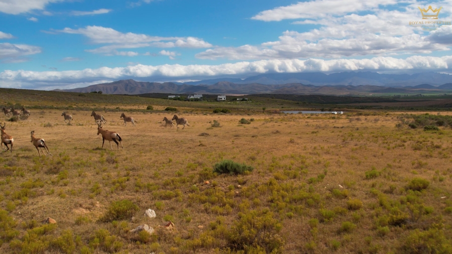 Commercial Property for Sale in Robertson Rural Western Cape
